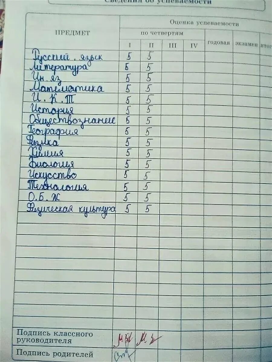 Каким предметам пятерки