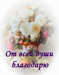 Благодарю тебя за искреннее слово