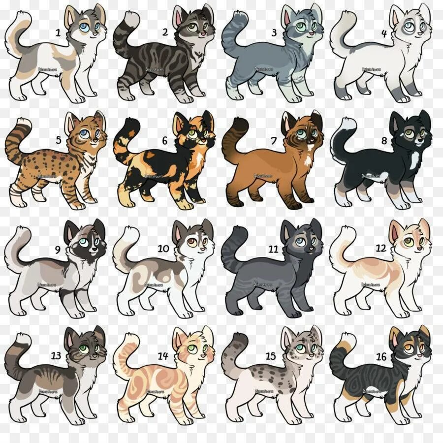 Коты Воители породы. Расцветки кошек. Котики разных пород. Расцветки и породы кошек. Типы окрасов кошек