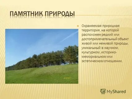Памятник природы в городе