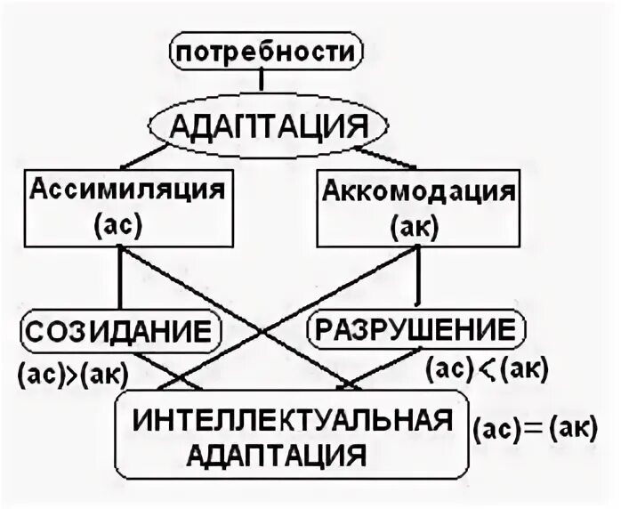 Аккомодация в психологии. Аккомодация и ассимиляция Пиаже. Теория Пиаже схема. Теория адаптации Пиаже.