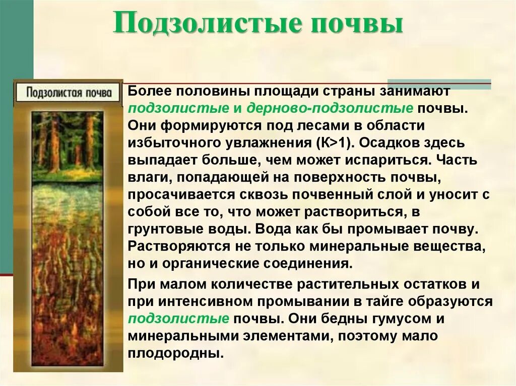 Какие почвы относятся к азональным типам подзолистые. Условия почвообразования подзолистой почвы география 8 класс. География 8 класс свойства почвы(плодородие) дерново-подзолистые. Тип почвы дерново подзолистые условия образования. Плодородие подзолистых почв в России.