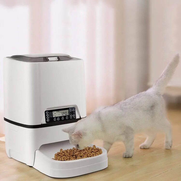 Automatic pet feeder. Automatic Pet Feeder автокормушка. Кормушка DUDUPET для кошек 6l Automatic Pet Feeder. Автокормушка для собак timed Feeder. Автокормушка Pet World Elite timed Feeder.