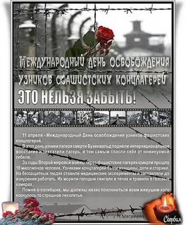 Картинка международный день узников концлагерей