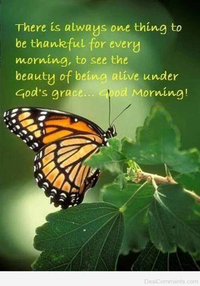 Believer lyrics text. May you always be as confident as lam картинки. Trust your instincts. First things first 2000. Great meaning.