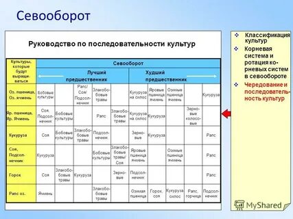 Севооборот культур на полях
