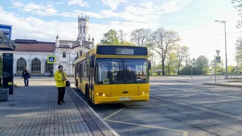 Новый маршрут автобуса петергоф