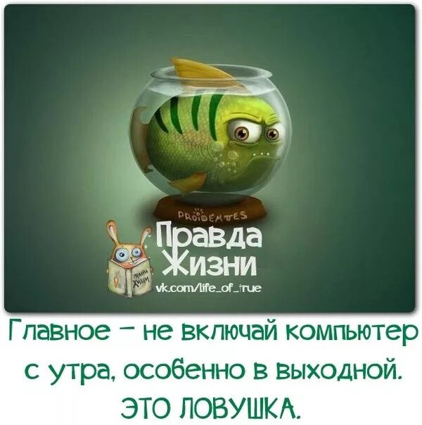 выходной карикатура. правда жизни приколы. правда веселая. правда демотиватор. правда жизни юмор в картинках.