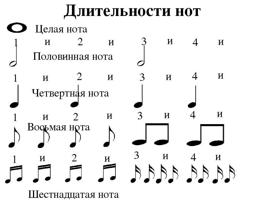 Почему 13 нот. Четвертная Нота Длительность. Длительности нот на нотном стане. Половинные длительности на нотном стане. Обозначение длительности нот на нотном стане.