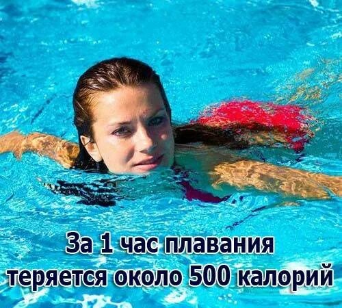 Плавание в бассейне калории. Сколько калорий сжигается при плавании. сколько калорий сжигает плавание. час плавания в бассейне.