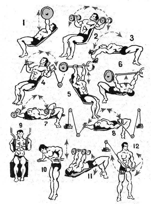 Упр с гантелями. Комплекс упражнений для груди и рук с гантелями. Упражнения для развития грудных мышц с гантелями. Упражнения на грудные мышцы с гантелямм. Упражнения с гантелями на грудные мышцы для мужчин.