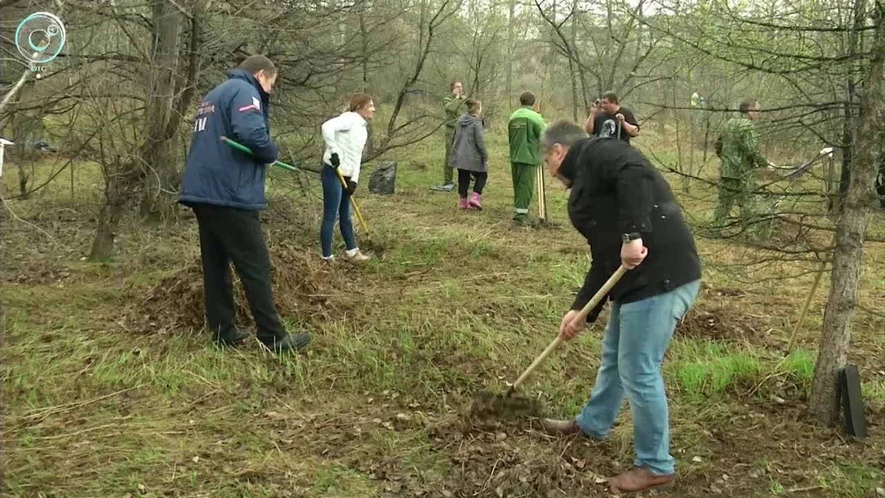 Видео 21 апреля. Нижнечеремошное Краснозерский район фото.