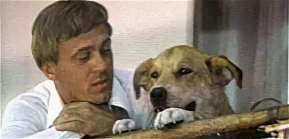 соленый пес 1973