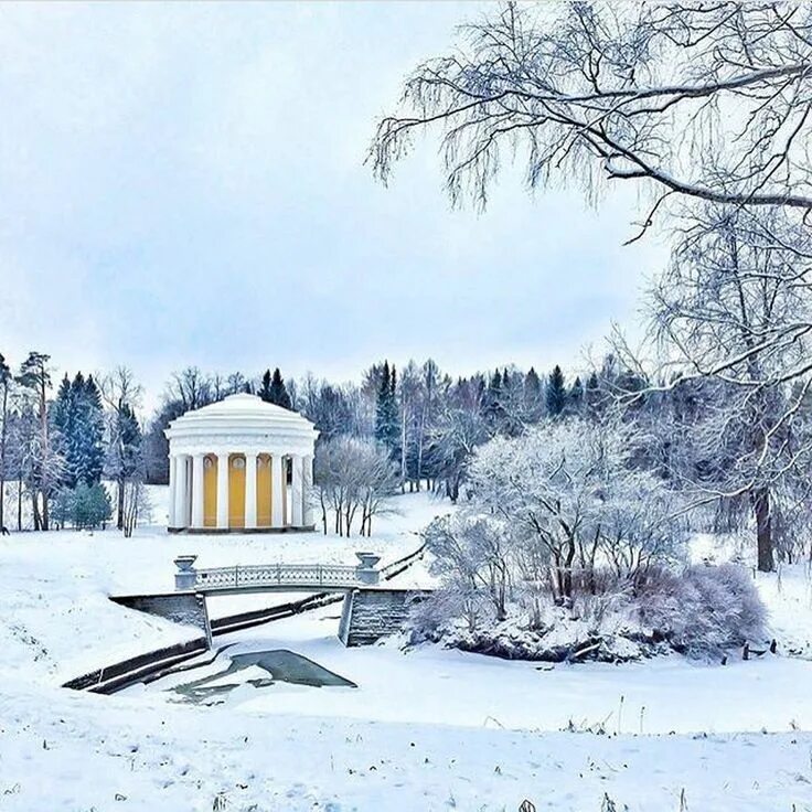Павловский забег 2021