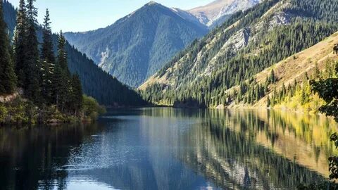 Жыныстық әйел жүкті