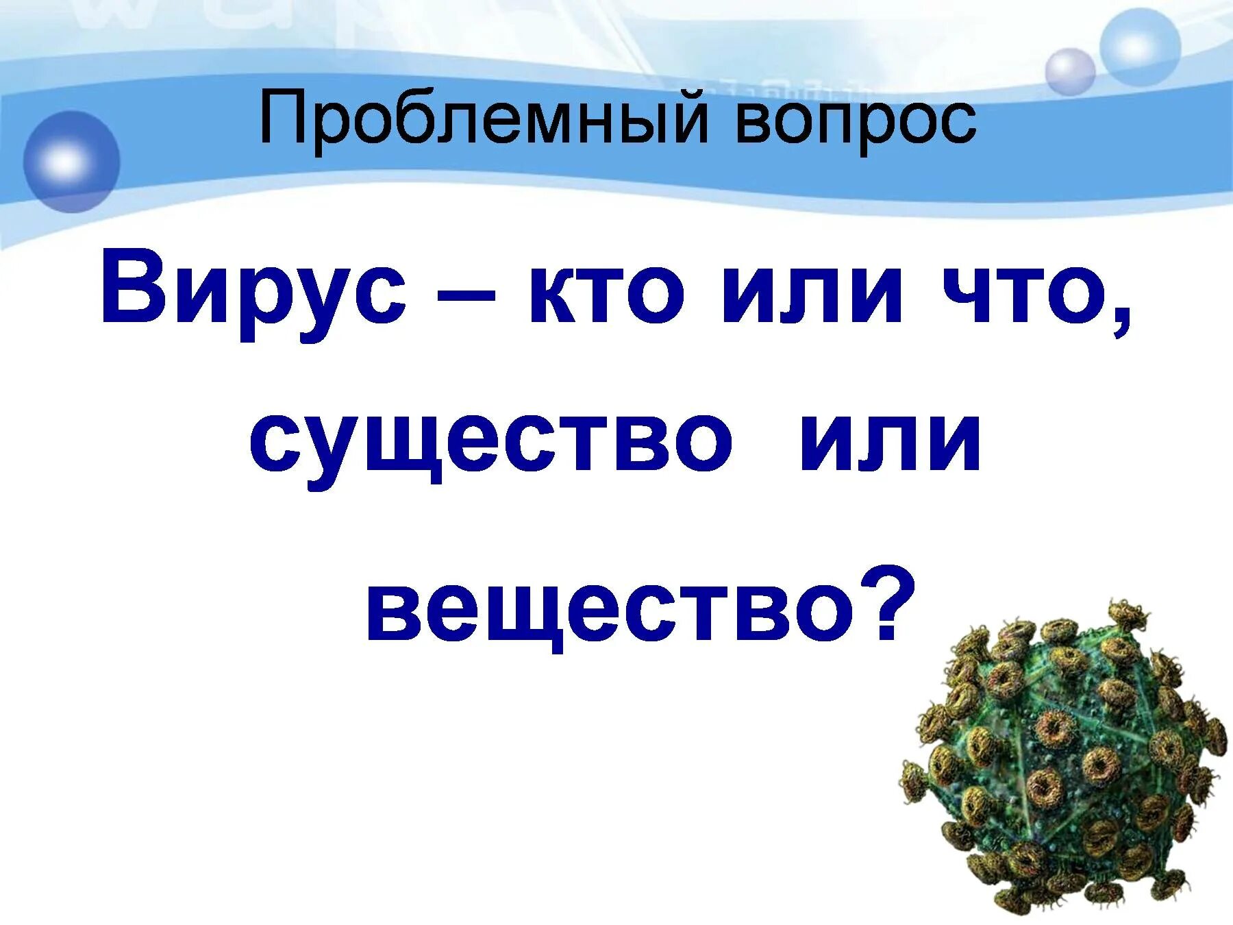 Неклеточные формы жизни и их значение. Неклеточные формы жизни и их значение