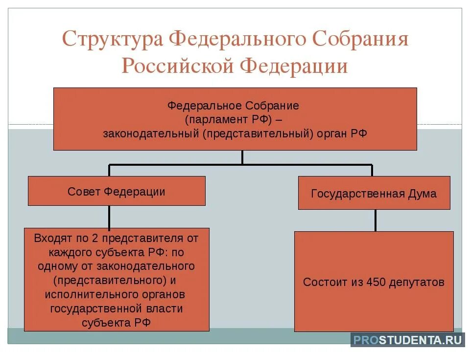 Парламент в государстве z избирается. Структура совета федерации рф схема. органы совета федерации рф структура. федеральное собрание парламент рф схема. структура палаты совета федерации рф.