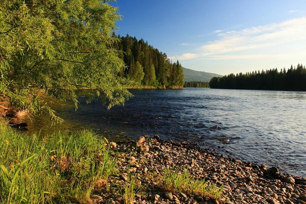 Красноярский край фото. Река Казыр Красноярский край. Река большая Веснина Красноярский край. Речка Веснина Красноярский край. Река малая Веснина Красноярский край.