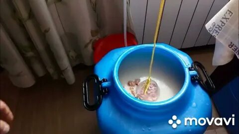 Гравицапа для браги