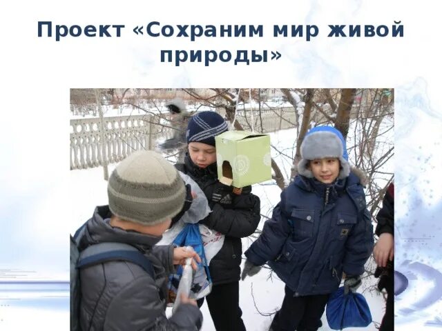 Сохраним красоту природы проект 3 класс Здоровье планеты в наших руках