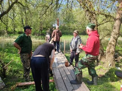 Погода в усадищенском сельском поселении на неделю