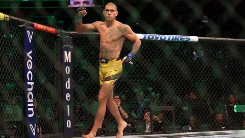 Alex pereira ufc
