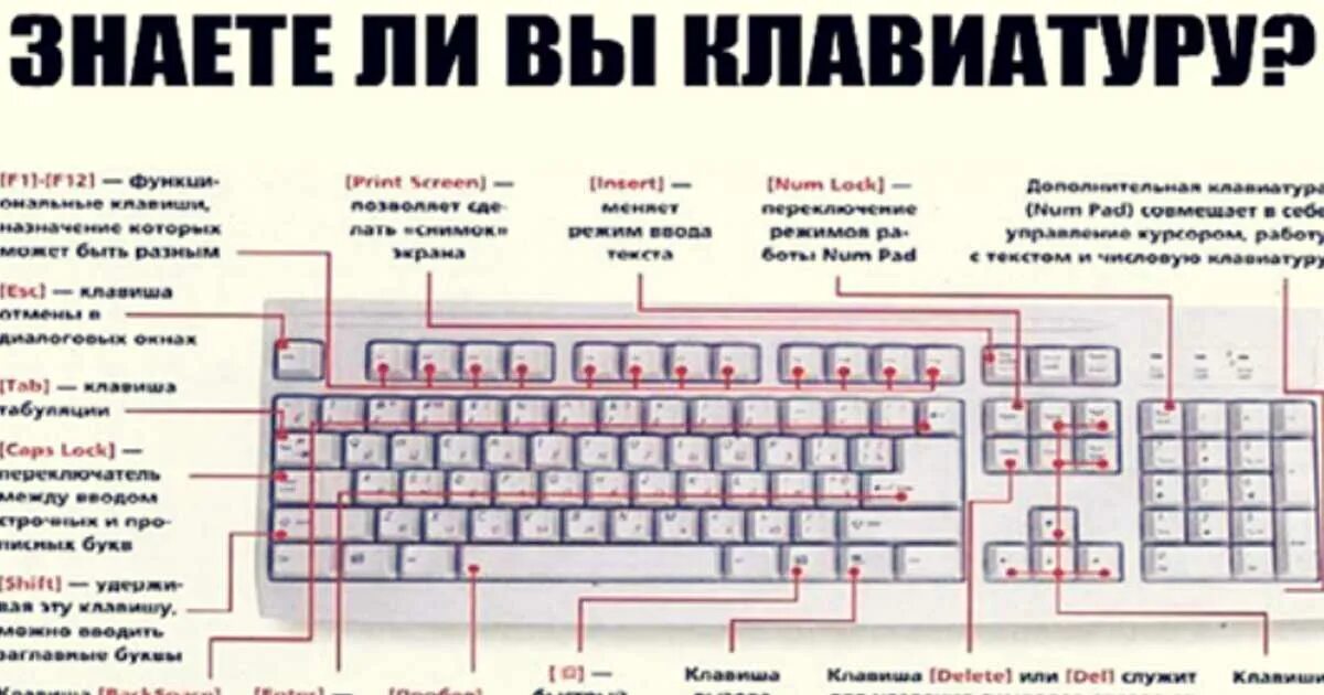 Клавиатура с подсказками