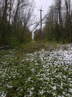 Пахотная горка новгородская область