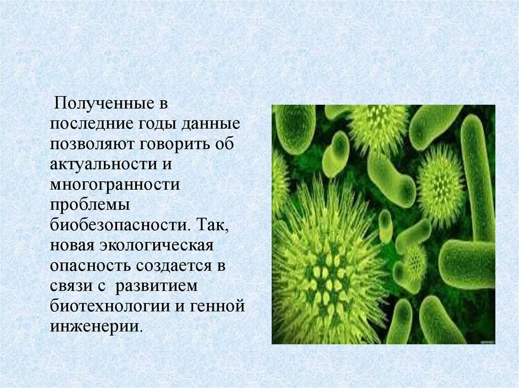 Биологические и экологические опасности. Биологическое загрязнение. Биологическое загрязнение презентация. Биологическое загрязнение окружающей среды. Биологическое загрязнение кратко.