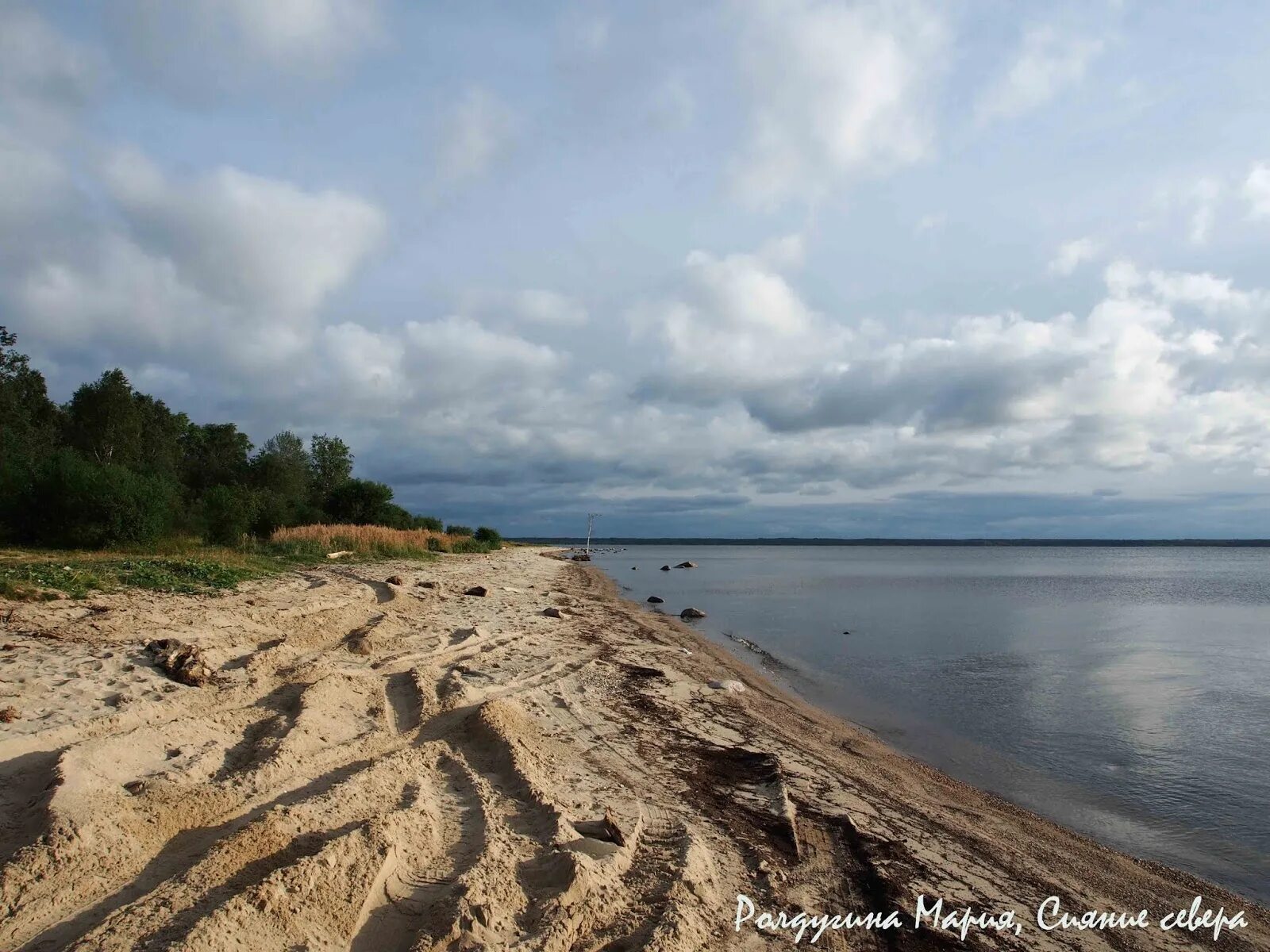 Милюшино Рыбинское водохранилище пляж. Деревня Крестцы Рыбинское водохранилище. Пляж Бобарино Рыбинское водохранилище. Крестцы Рыбинское водохранилище пляж.