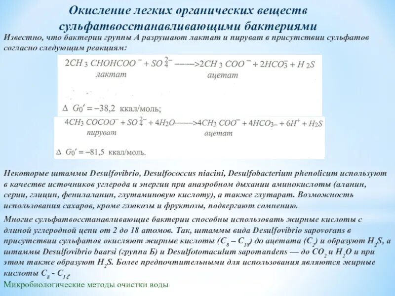 Легко окисляющие вещества. Окисление в легких. Сульфатвосстанавливающие бактерии реакция. Общая характеристика сульфата восстанавливающих бактерий.