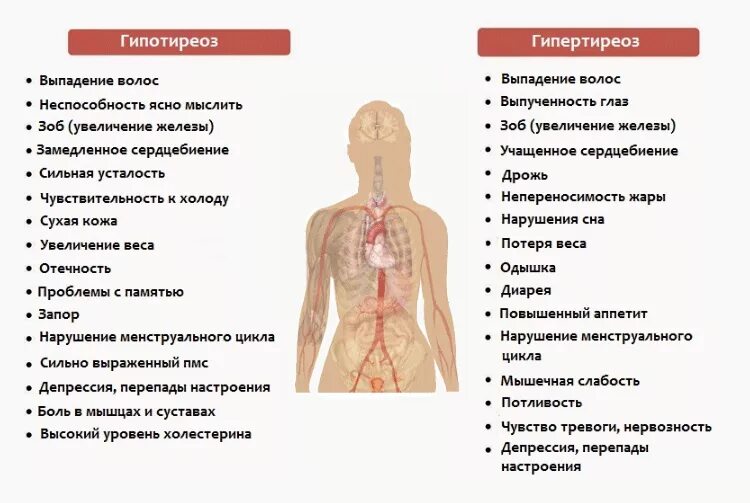 При каких заболеваниях хочется. Симптомы гипо и гипертиреоза. Клинические проявления при гипотиреозе и гипертиреозе. Гиперфункция щитовидной железы симптомы. Клинические симптомы гипертиреоза.