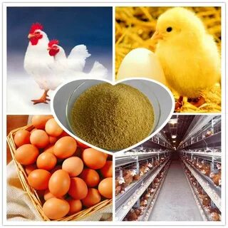 Пищевые продукты переработки яиц