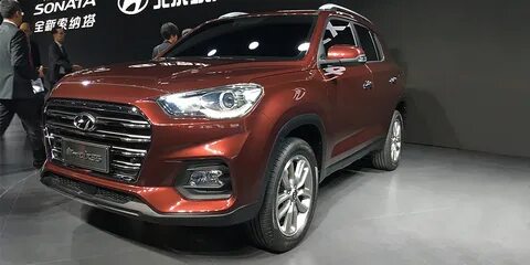 2017 19 год