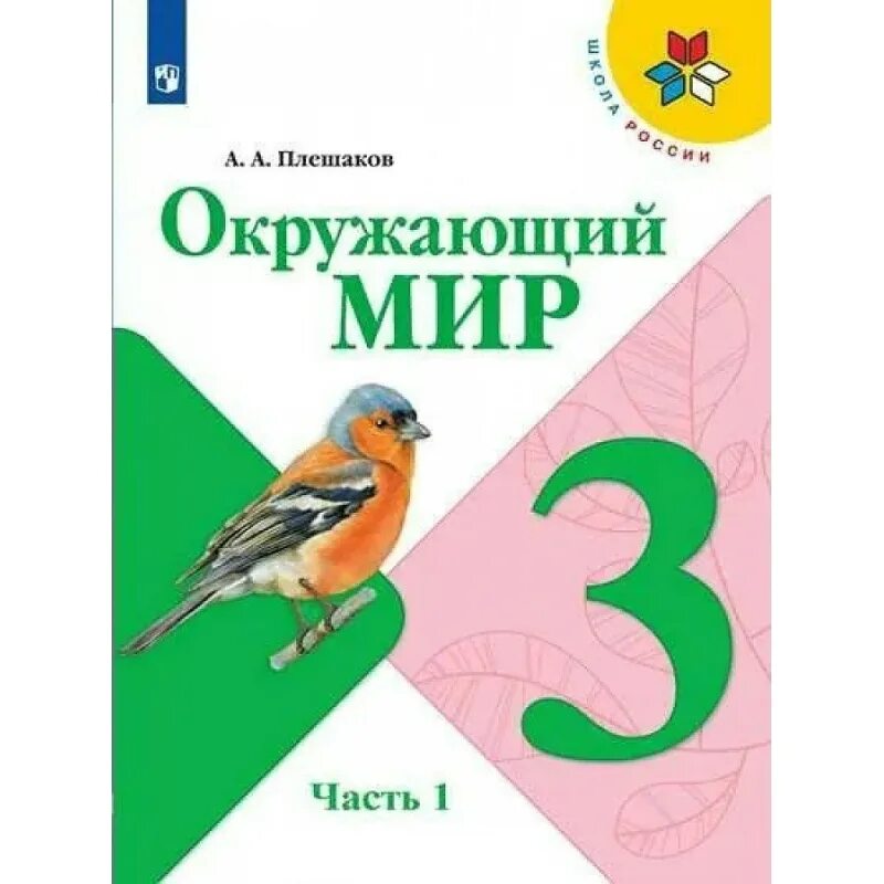 Окружающий мир. Окружающий мир Плешаков. Буду 5 окружающий мир 3