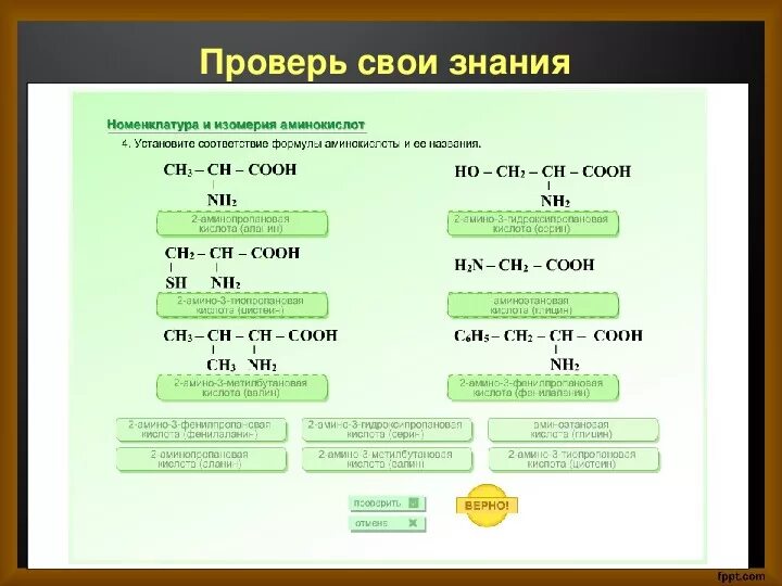 Тест аминокислоты 10 класс химия. Химия 10 класс Амины аминокислоты. Амины 10 класс химия презентация. Презентация на тему аминокислоты. Задачи по аминокислотам.