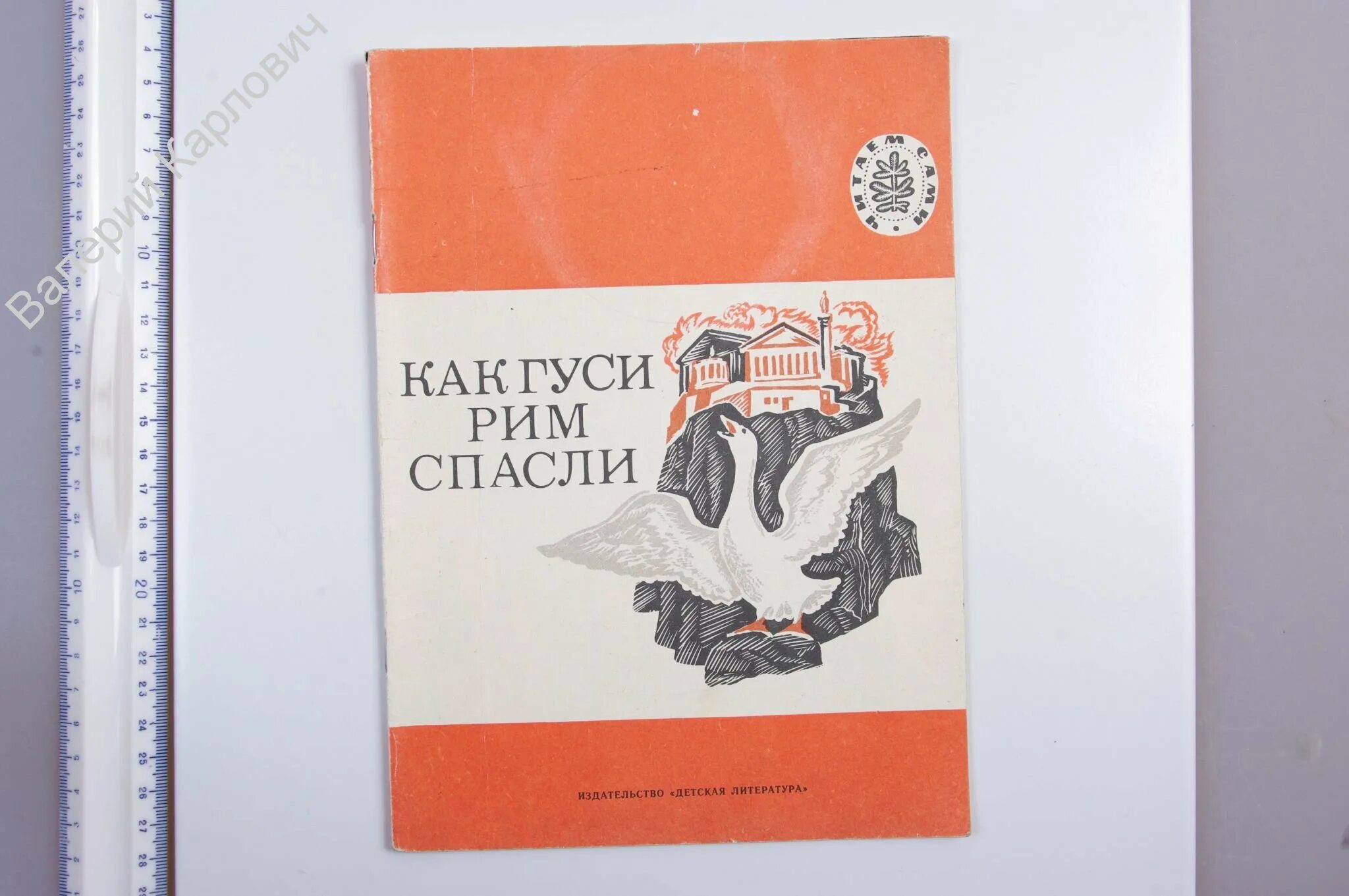 Как гуси спасли рим кратко 5 класс. Гуси спасли Рим. Иллюстрация как гуси Рим спасли. Л толстой как гуси Рим спасли. Как гуси Рим спасли книга.