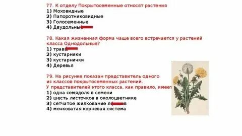К покрытосеменным растениям относится ответ. К покрытосеменным растениям относится ответ