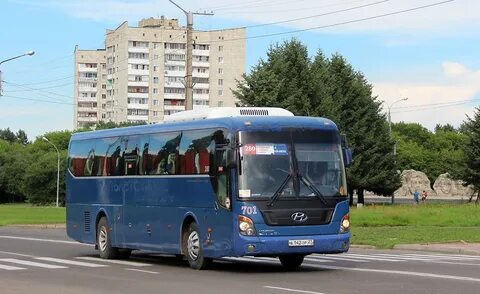 Дальнегорск хабаровск автобус