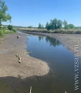 Почему погибает река