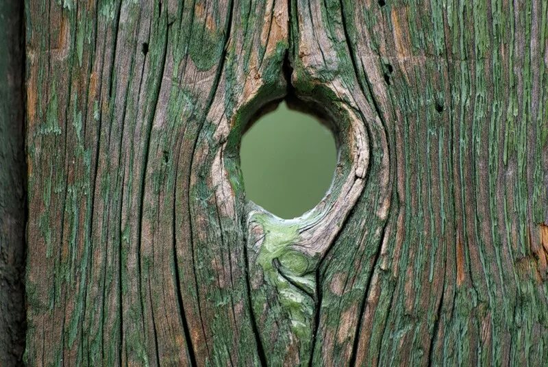 Дырка в дереве. Щель в двери. Левый верхнедолевой верхнедолевой бронх. Шкала кормака-лихена. Щель вижу.