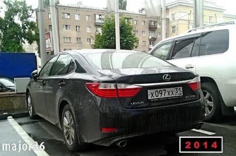 Что такое 31 rus