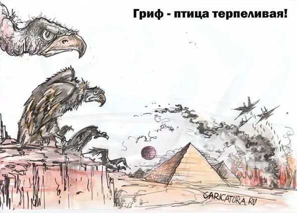 Гриф птица терпеливая. Стервятники птицы карикатуры. Гриф карикатура. Карикатура Стервятники.