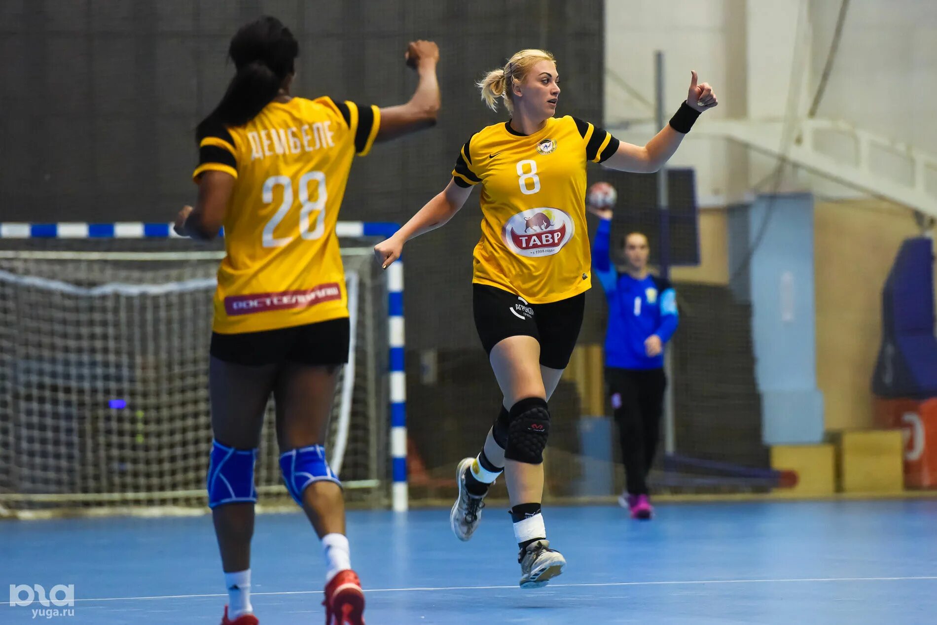 Гандбол чемпионат ростов дон. Handball Ростов Дон. Ростов Дон гандбол команда. Ростов Дон гандбол тренер. Вяхирева гандбол.