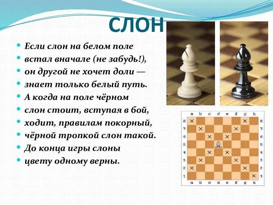 Где должен стоять король в шахматах. Шахматы расстановка фигур ферзь. король и ферзь в шахматах расстановка. расстановка фигур в шахматах король и ферзь. названия шахматных фигур с картинками.