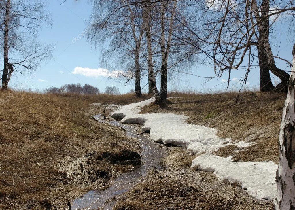 В апреле на полях тает последний. Ручейки весной. Ручьи весной.