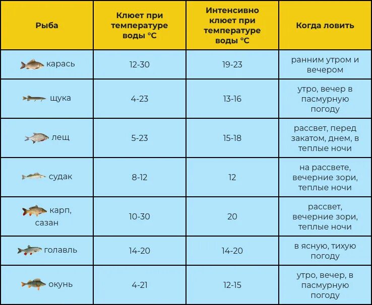 Температура и рыбалка. Влияние давления на рыбу. Таблица температуры ловли рыбы. Влияние температуры воды на рыб. Клев сухиничи