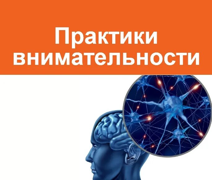 Практики внимания. Практики внимания. Йога с нуля андрей максименко занятие 3 и 4. Практики внимания. Практики внимательности.