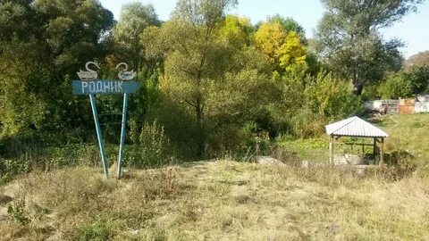 Село криница воронежская область