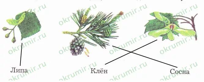 Подписать соединить